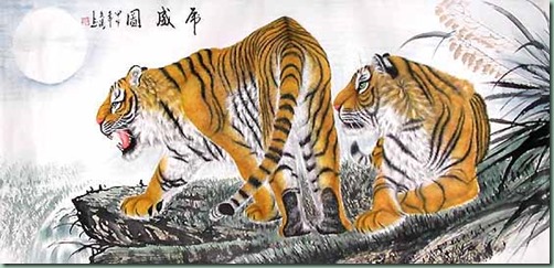 tigres chinois
